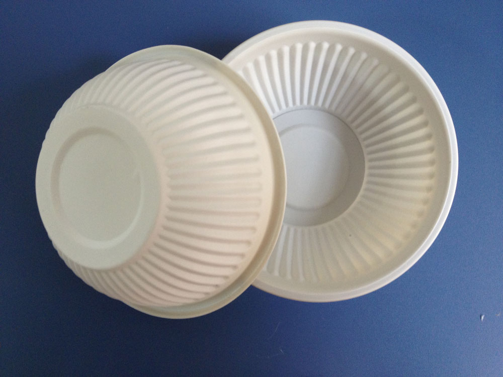 Biodegradable Food Container